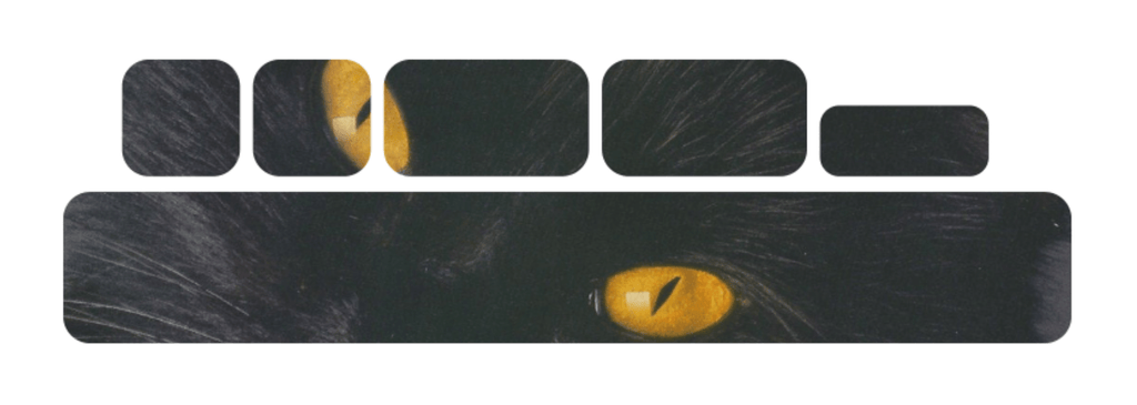 Frameguard Aufkleber Schwinge - Cat - Sickstyle Graphics